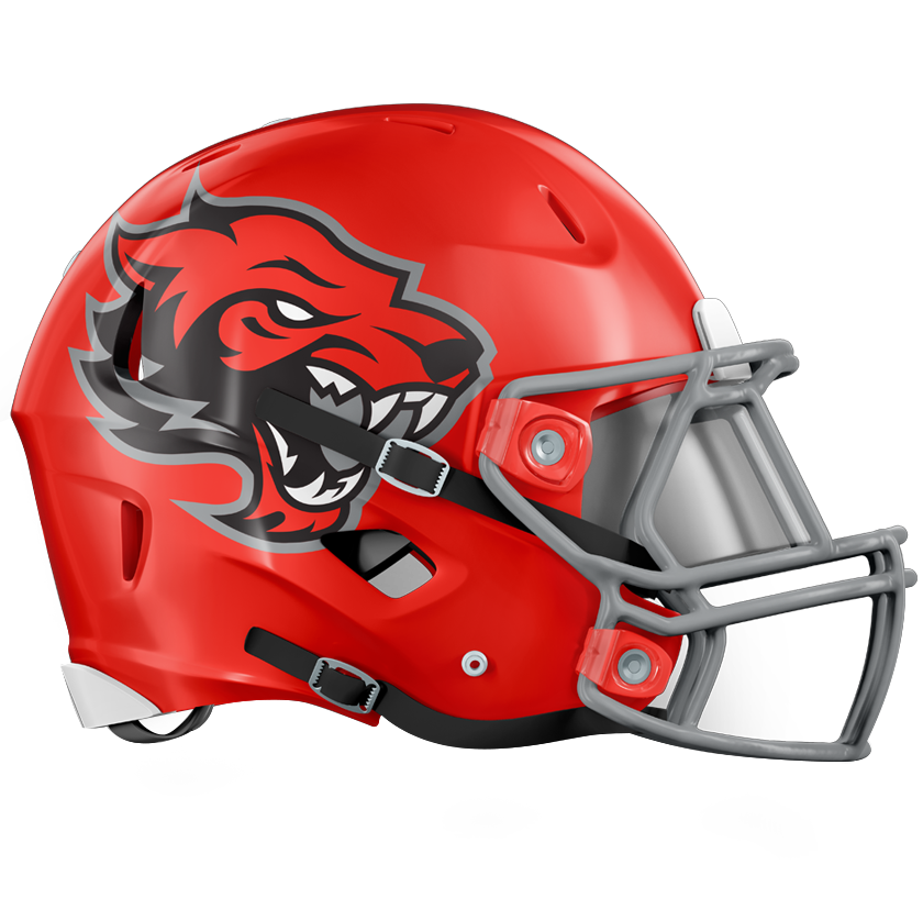 Conrad Redwolves Football Helmet